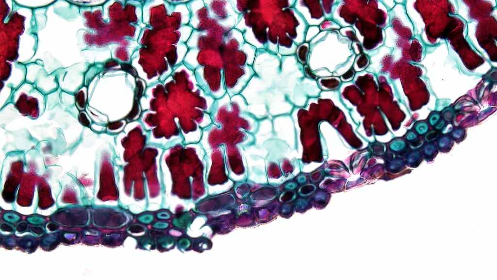 AI IN BIOTECH- THE UPGRADE TO BIOTECHNOLOGY AND&nbsp;NEUROSCIENCE